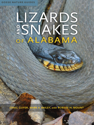 cover image of Lizards and Snakes of Alabama